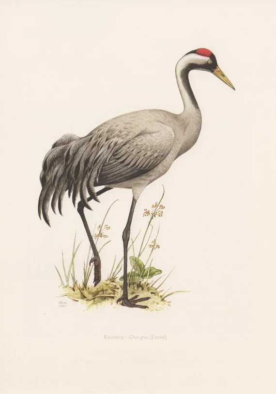 Buy together, get free shipping | Etsy (US)