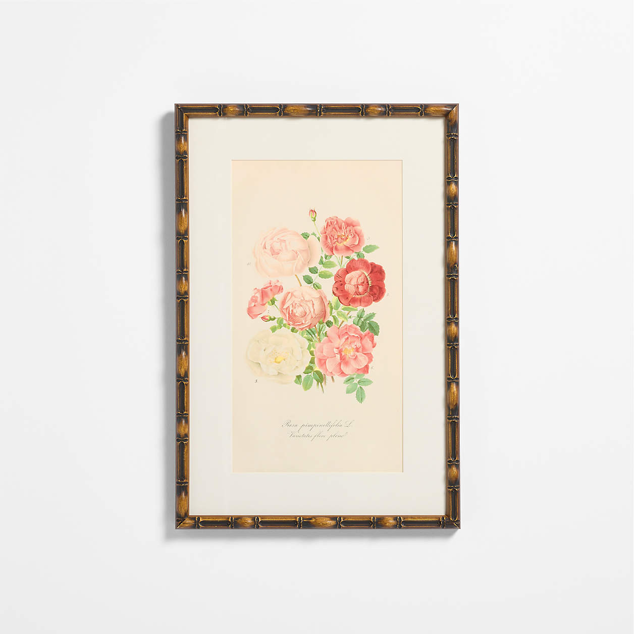 Rose Wall Art by Sharland England | Crate & Kids | Crate & Barrel