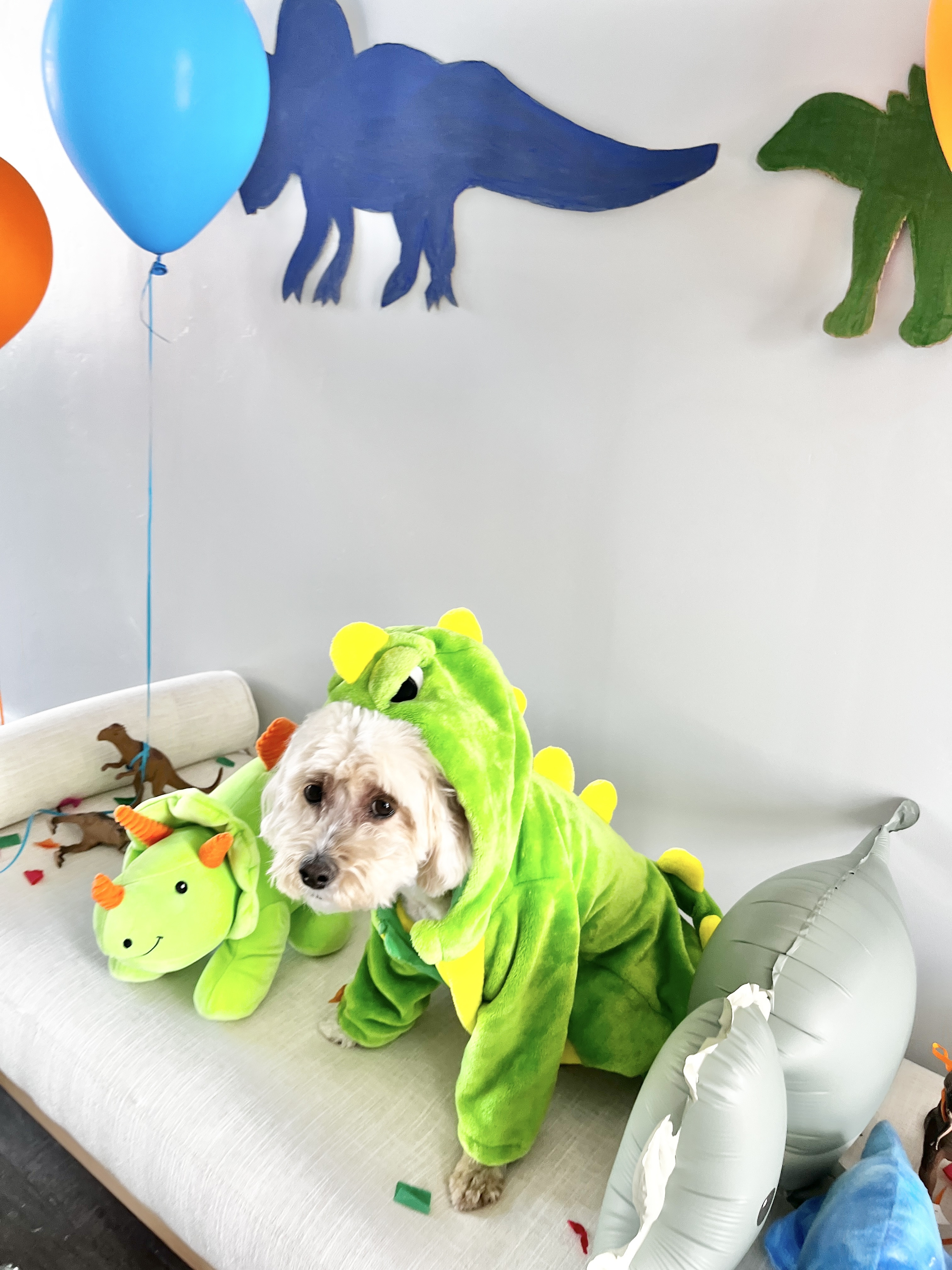 Balloons from Zurchers, cardboard cut outs I DIYed and the dog Dino costume was actually our toddler’s 😂

#LTKKids #LTKParties #LTKHome