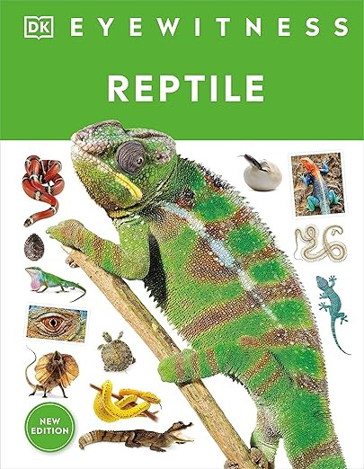 Eyewitness Reptile (DK Eyewitness)      Hardcover – December 5, 2023 | Amazon (US)