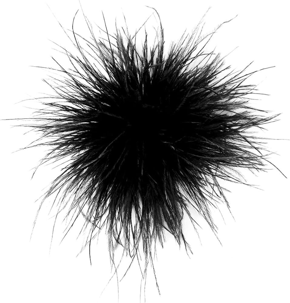 Ostrich Feather Brooch Pins,Oversized Corsage Hair Clip, Elegant Lapel Pin | Amazon (US)
