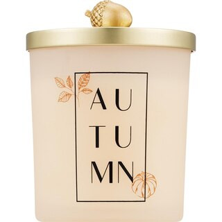 Universal Candle Co. Autumn Candle, Vanilla Sugar Shortbread Scent, 9.5 oz | CVS Health
