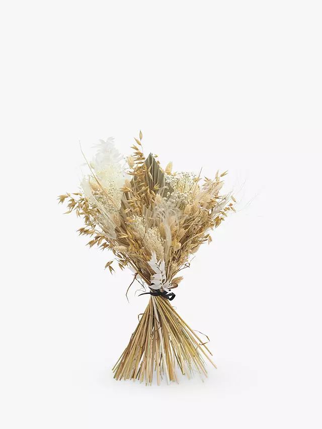 Ixia Flowers Whites Premium Dried Flowers | John Lewis (UK)