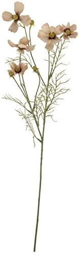 Beige Cosmo Spray Stem Pick DIY Flower Bouguet Arrangments Home Decoration 28" Length | Amazon (US)