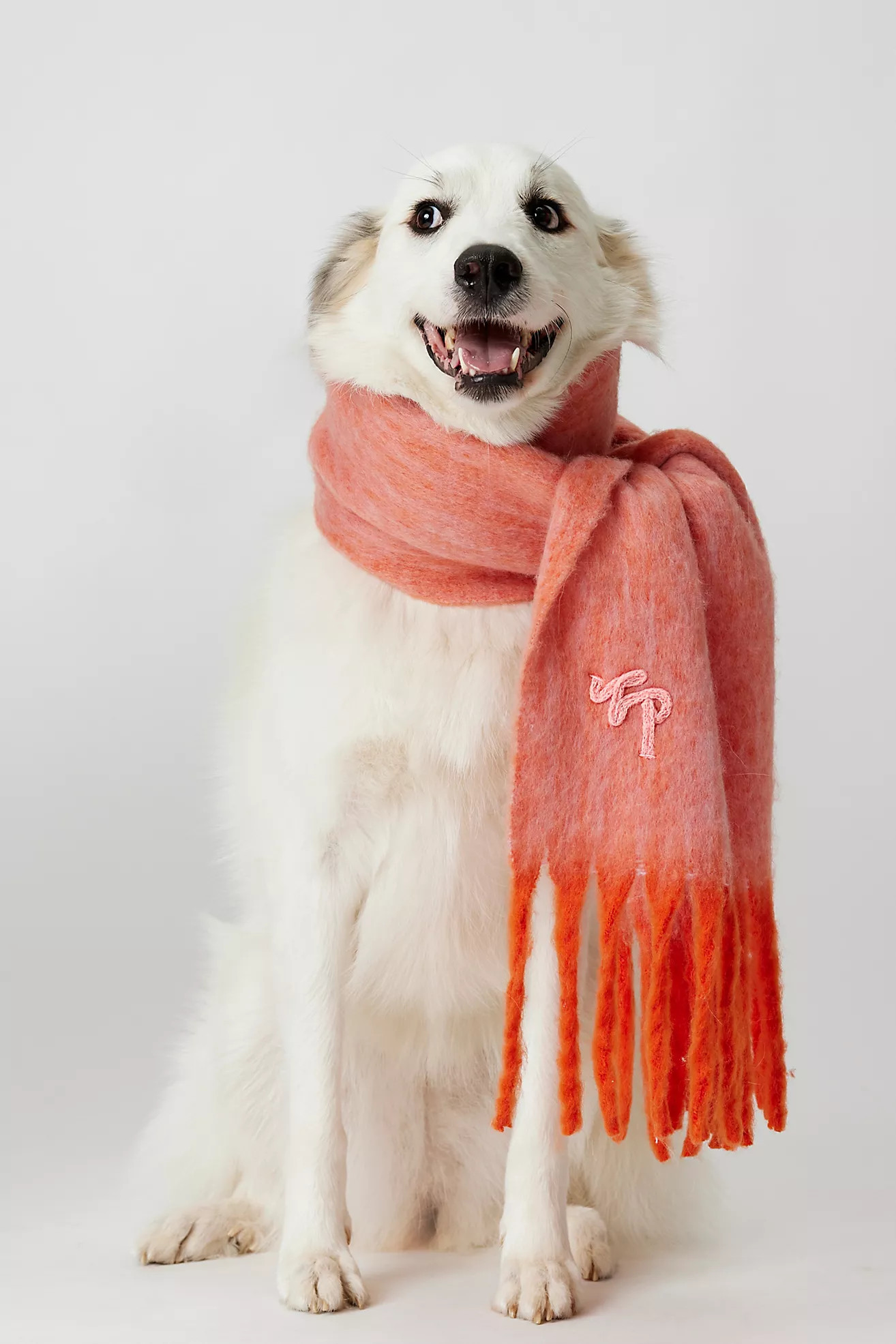 Winter Chill Blanket Scarf | Free People (Global - UK&FR Excluded)