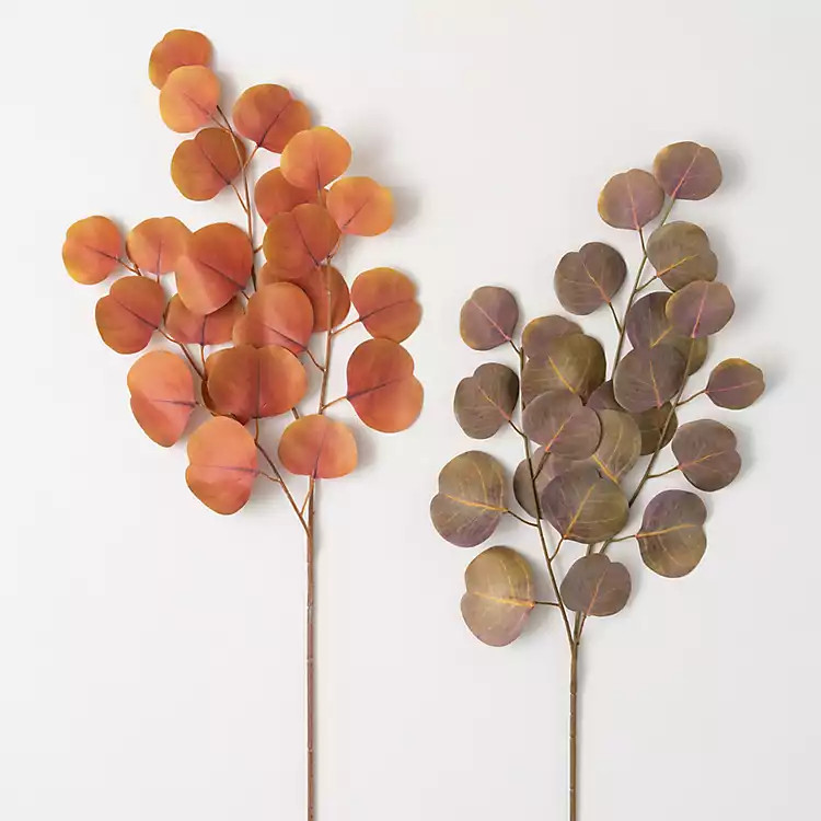 Warm Silver Dollar Eucalyptus Stems, Set of 2 | Kirkland's Home