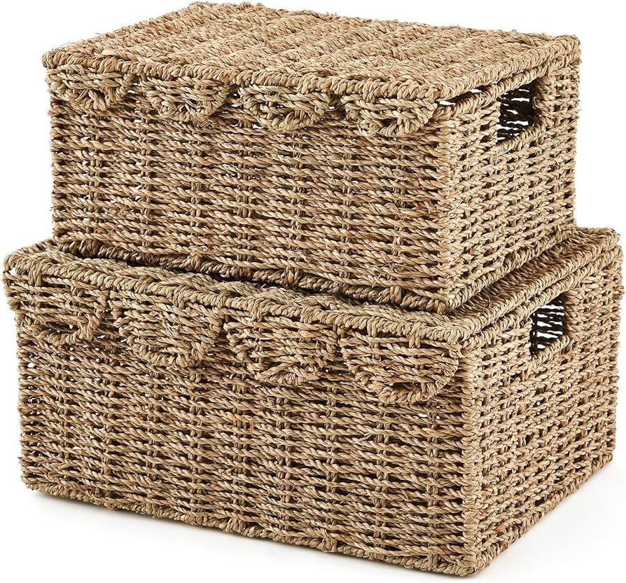 Boao 2 Pcs Scalloped Edge Wicker Basket Set with Lid, Woven Basket for Organizing Storage, Handwo... | Amazon (US)
