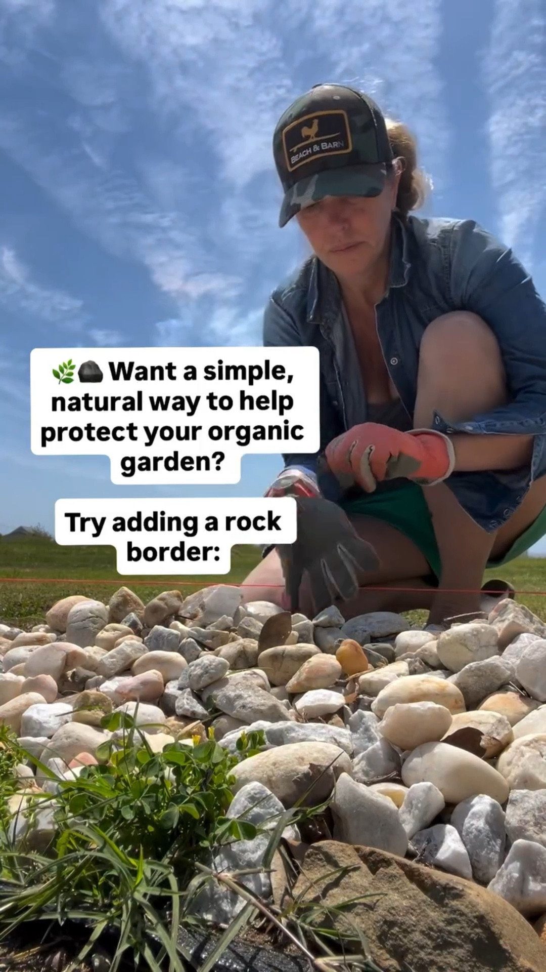 Would YOU have an OPEN garden with a rock border as your FENCE?! 

🌿🪨 Want a simple, natural way to help protect your organic garden? Try adding a rock border:

• Creates a physical barrier that discourages small animals from entering

• Makes it harder for critters to dig under or burrow into your garden beds

• Reduces access points for pests like rabbits, squirrels, and rodents

• Provides an unstable surface many animals prefer to avoid walking on

• Helps define territory, signaling a boundary to wandering wildlife

• Can be paired with other natural deterrents (like herbs or fencing) for extra protection

• Doesn’t rely on chemicals—keeps your garden truly organic

• Durable and weather-resistant, offering long-term protection

🌱 A simple rock border can go a long way in keeping your garden safe—naturally.

Garden Gloves by @digzgardening 💕
