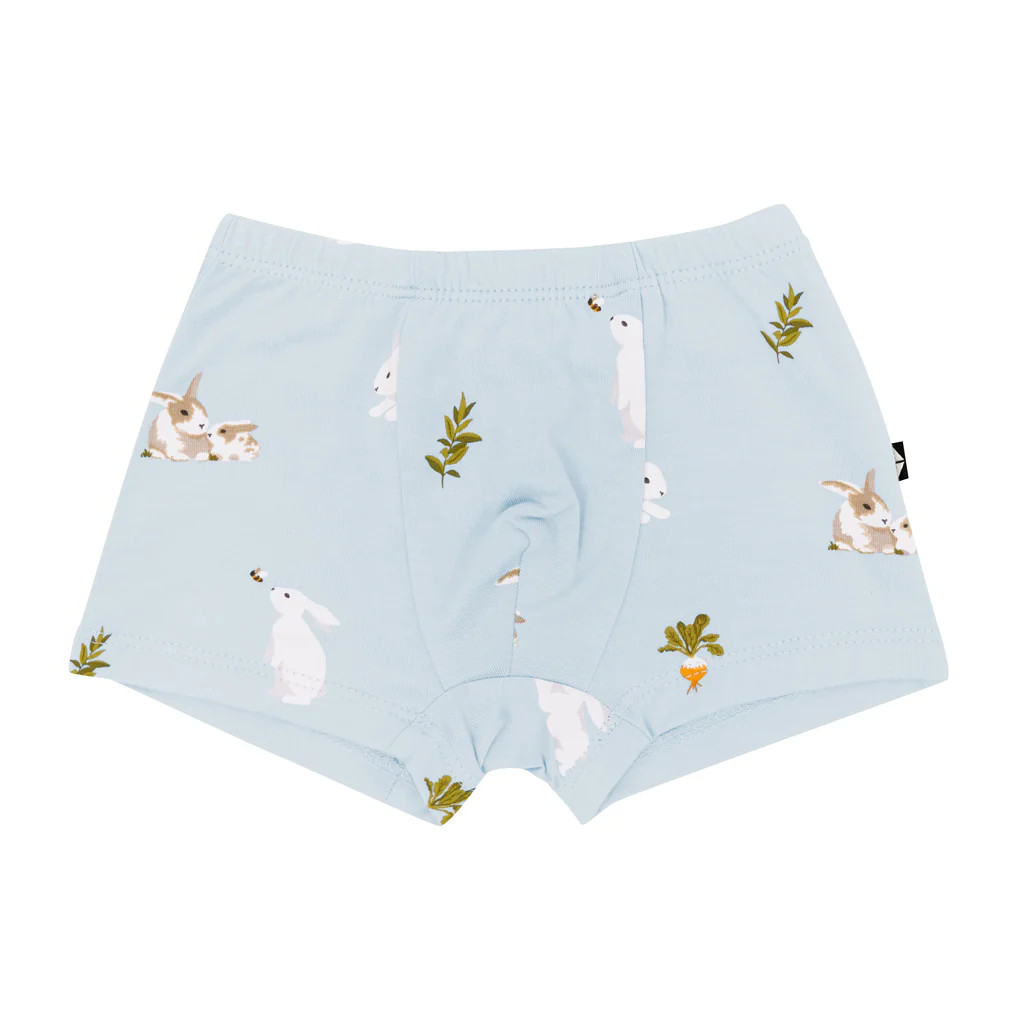 Briefs in Ice Rabbit | Kyte BABY