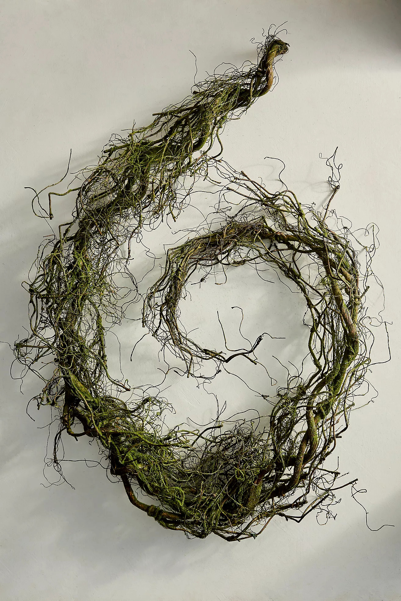 Faux Mossy Twig Garland, 10’ | Anthropologie (US)