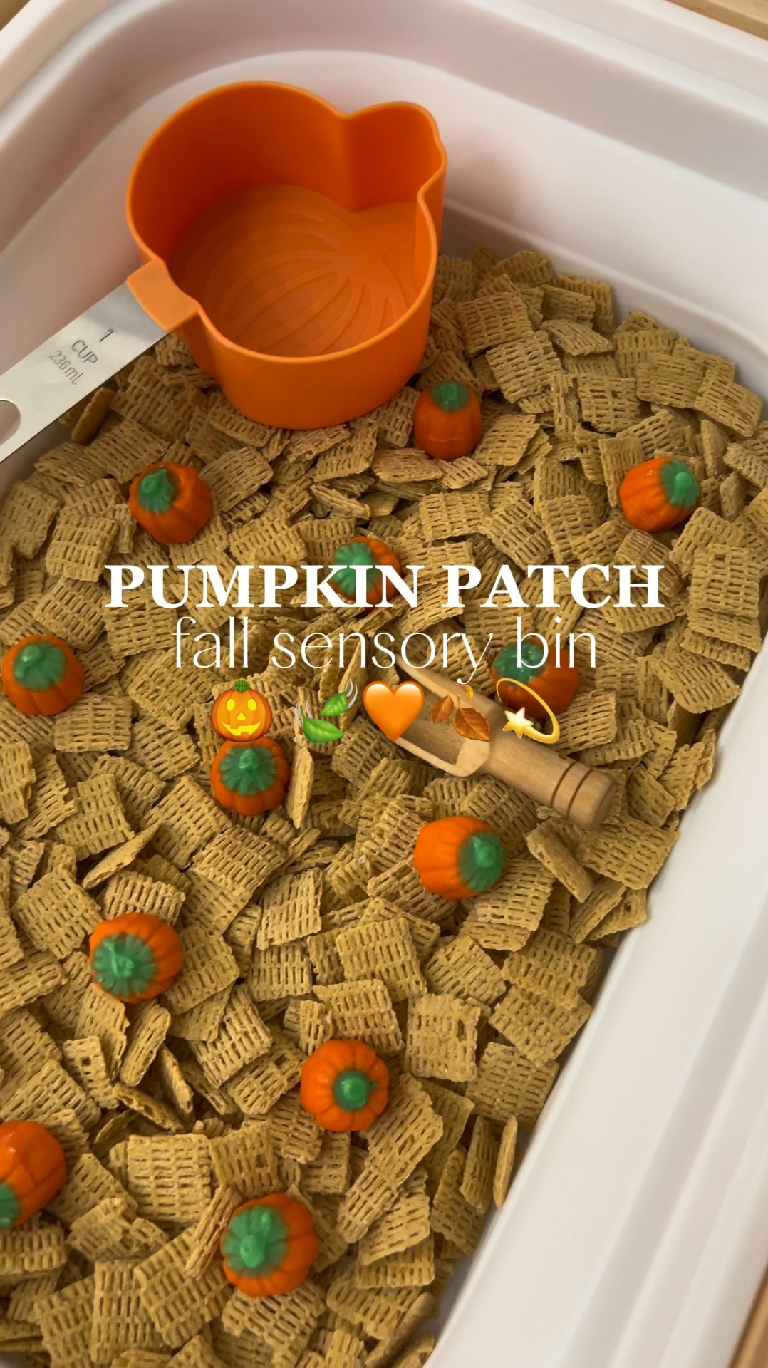 first fall sensory bin of the season 🎃🧡

#sensorybin #sensorybinideas #fallsensorybin 

#LTKSeasonal #LTKHome #LTKKids