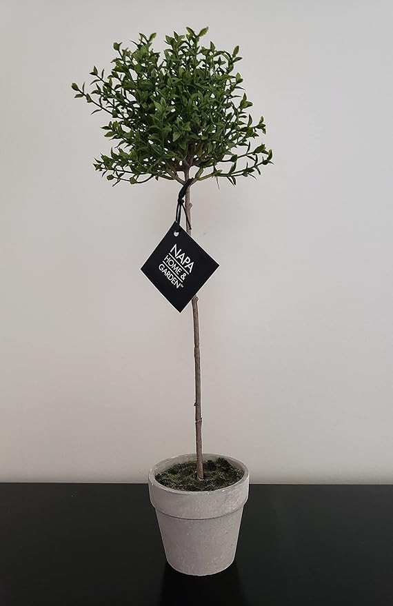 NAPA Home & Garden Thyme Topiary 16" | Amazon (US)