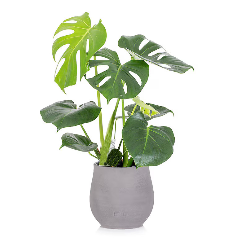 Buy together, get free shipping | Etsy (US)