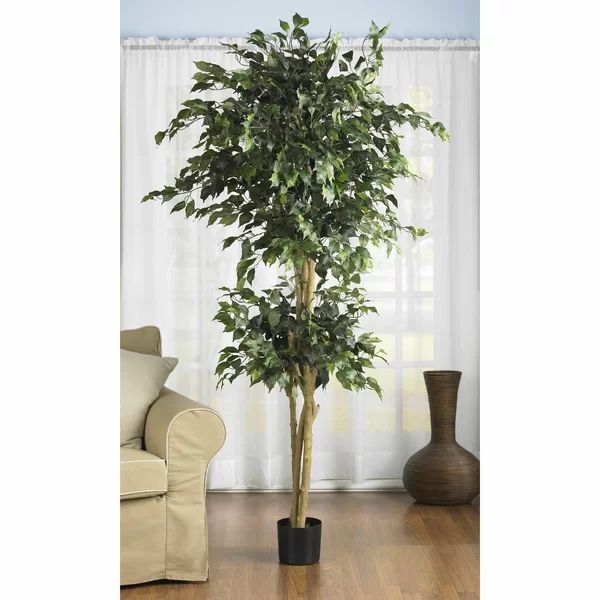72" Artificial Ficus Tree in Pot | Wayfair North America