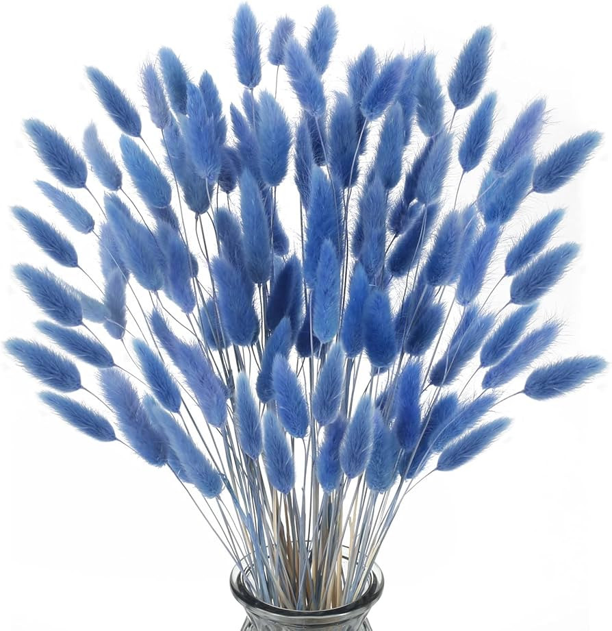 XHXSTORE 120pcs Dried Bunny Tails Flowers Blue Rabbit Tail Grass Lagurus Ovatus Dried Grass Bouqu... | Amazon (US)