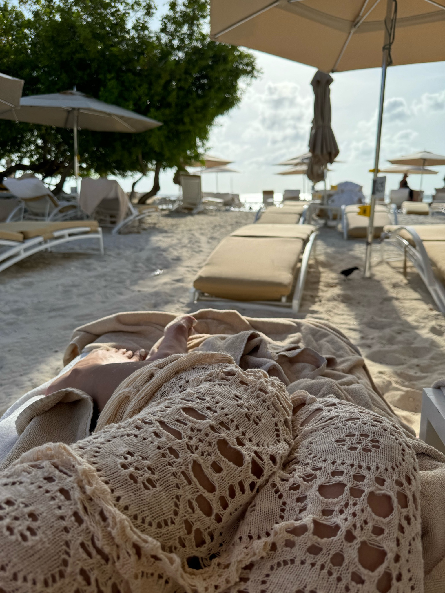 Nothing like an Aruban beach 🤍🥥

#LTKTravel #LTKSwim #LTKStyleTip