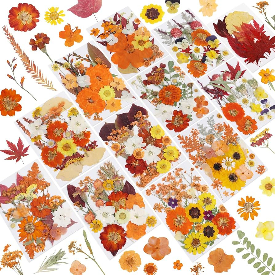 277 Pcs Autumn Dried Flowers for Crafts,Real Nature Dried Flowers for Craft Bulk Dry Flowers Leav... | Amazon (US)