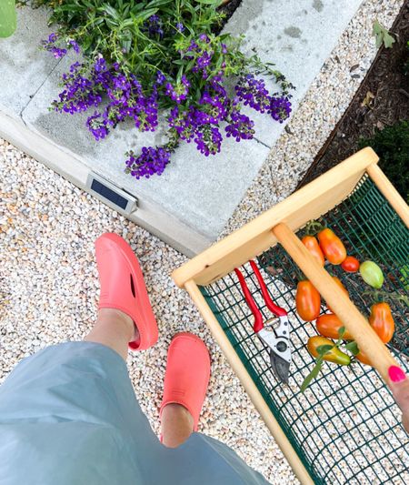 The best gardening clogs and in so many color ways! 

#LTKhome #LTKstyletip #LTKSeasonal