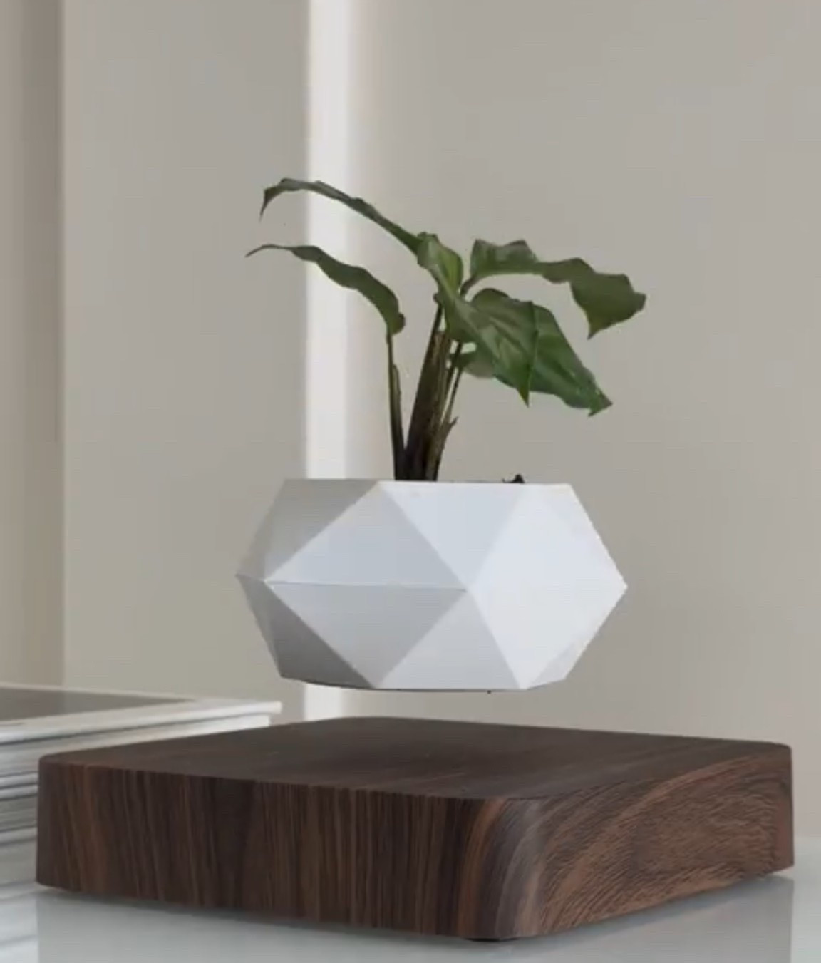 Scroll to shop!! Follow for more!!! Xo! ✨

#LTKHoliday #LTKHome #LTKGiftGuide