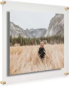 COOLMODERNFRAMES 16x20-Inch Clear Floating Double Panel Acrylic Picture Frame, Gold Hardware for ... | Amazon (US)