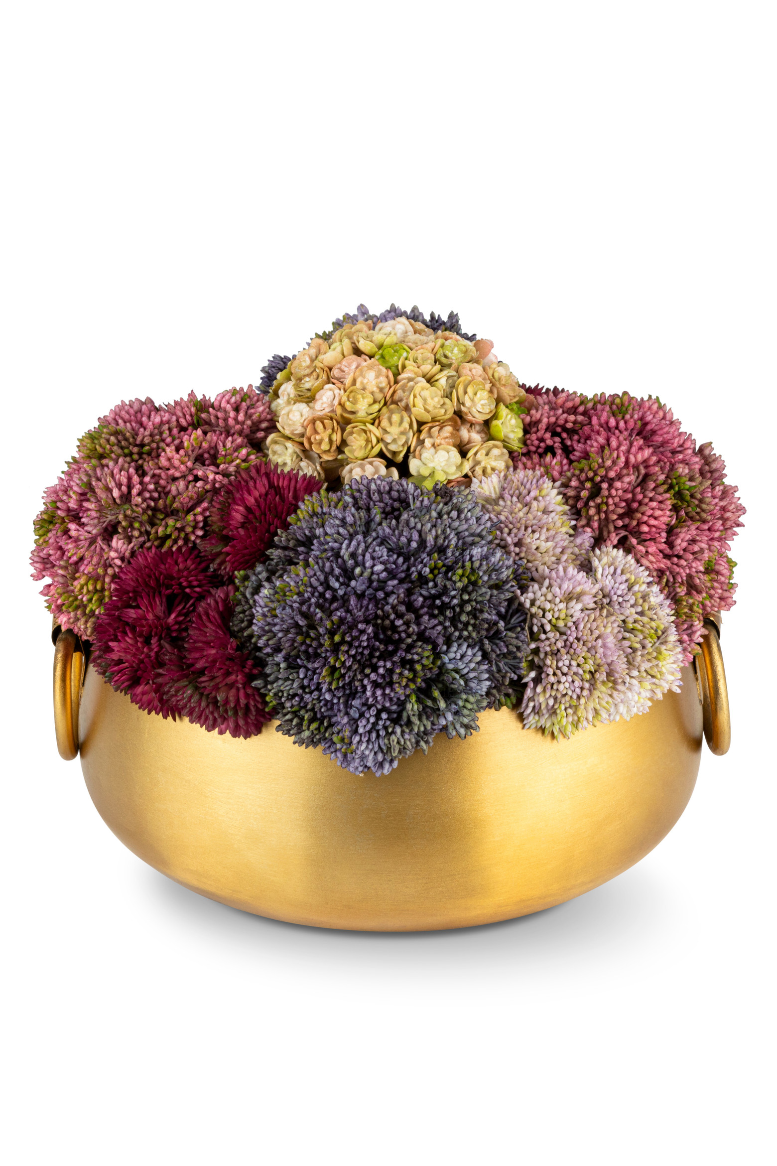 Beatrix Gold Sedum Arrangement | Nordstrom | Nordstrom