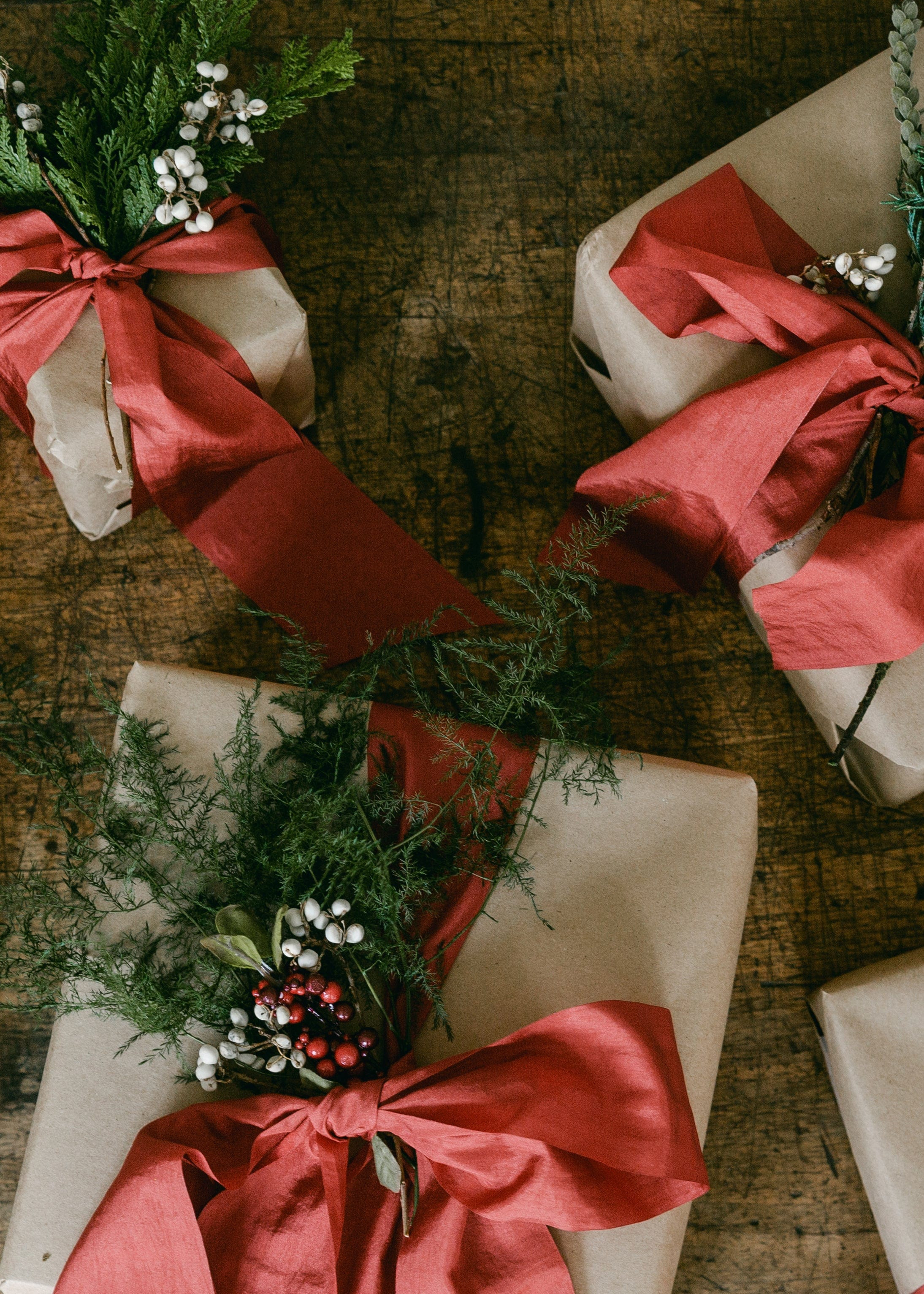 White Natural Dried Tallow Berries - 5-6.5" | Afloral