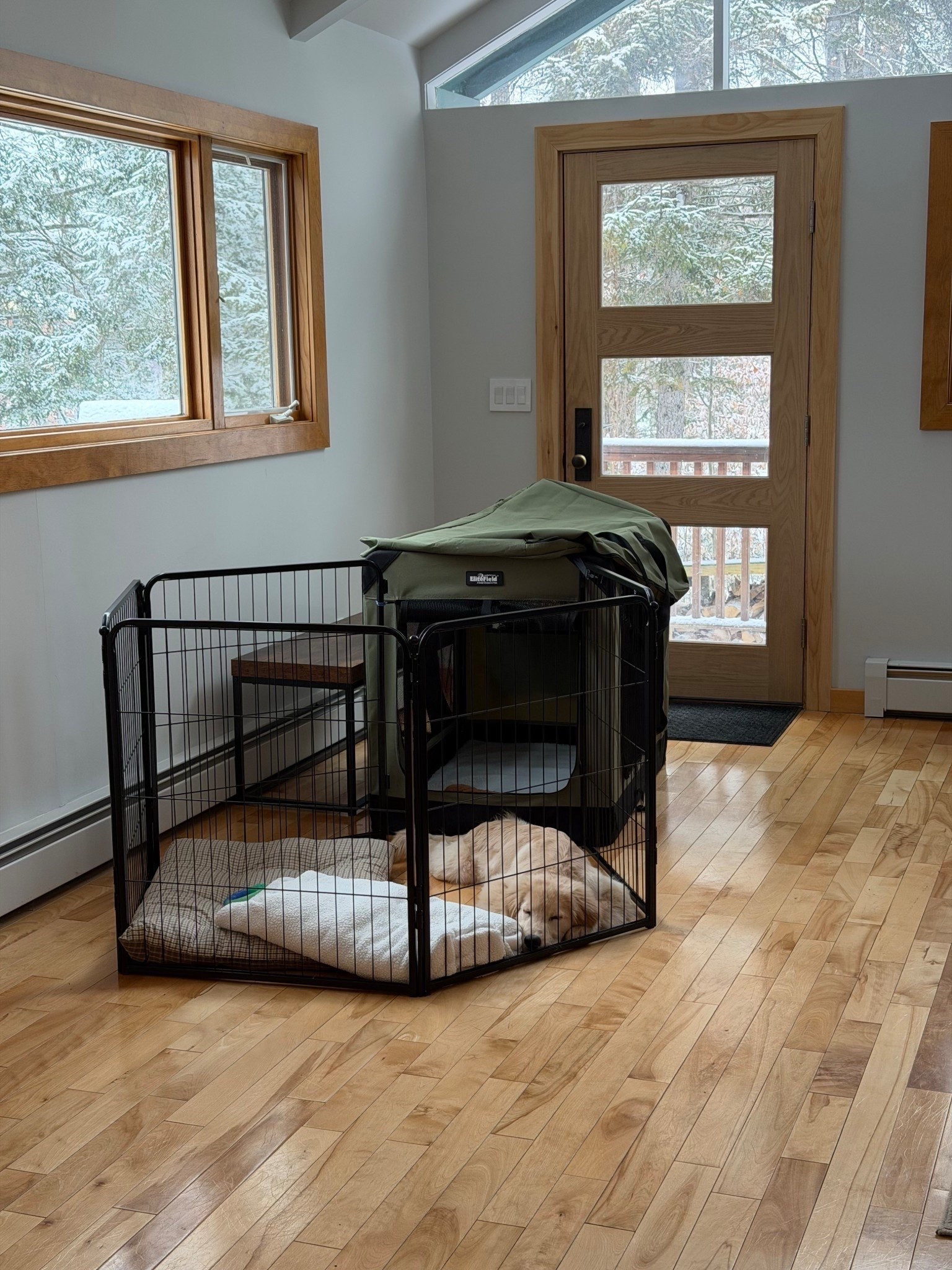 [2/17/26] Laird’s travel crate has  come in handy so many times. resharing because you have all loved it the past few weeks and it’s on sale now! | linking other fav essentials we’ve started to love to travel with! 


#LTKHome #LTKTravel #LTKActive