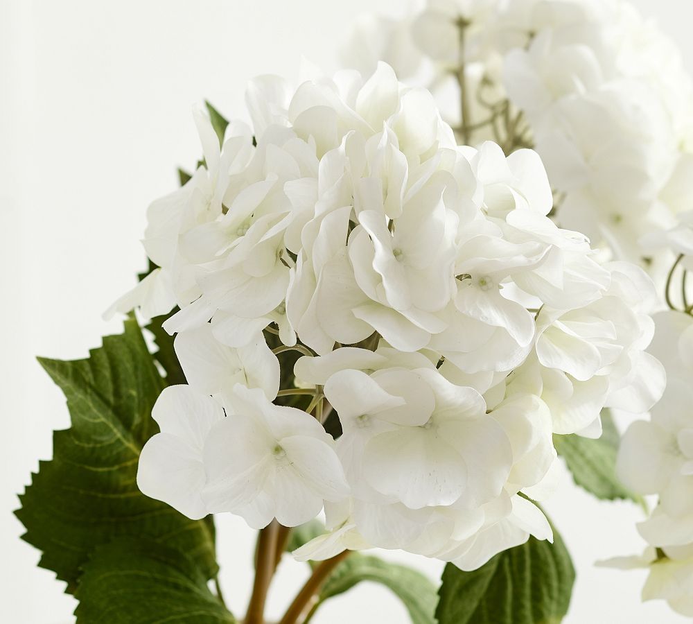 Faux White Hydrangea Bundle | Pottery Barn (US)