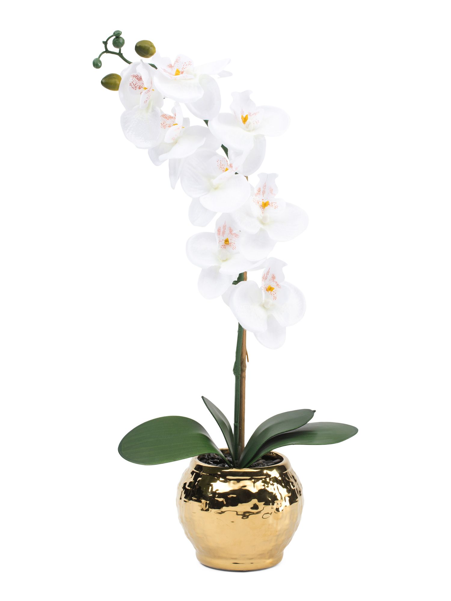 Orchid In Metallic Ceramic Pot | Home | Marshalls | Marshalls