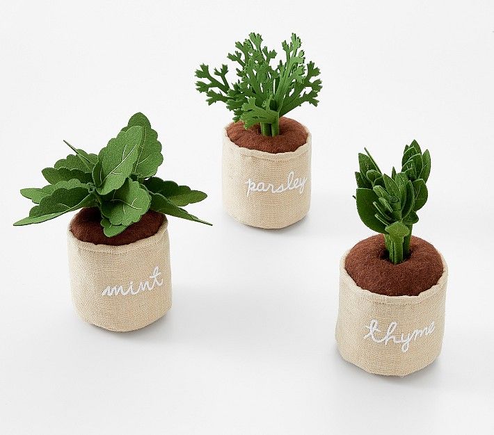 Potted Gardening Herbs | Pottery Barn Kids