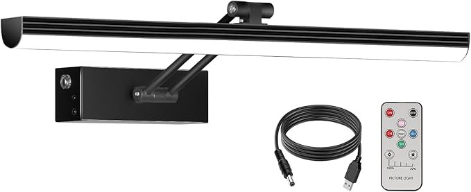 LED Picture Light, 16" 5200mAh Battery Operated Art Light, Cordless Remote Painting Lights with T... | Amazon (US)