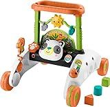 Fisher-Price Baby & Toddler Toy 2-Sided Steady Speed Panda Walker With Smart Stages Learning & Blocks For Ages 6+ Months | Amazon (US)