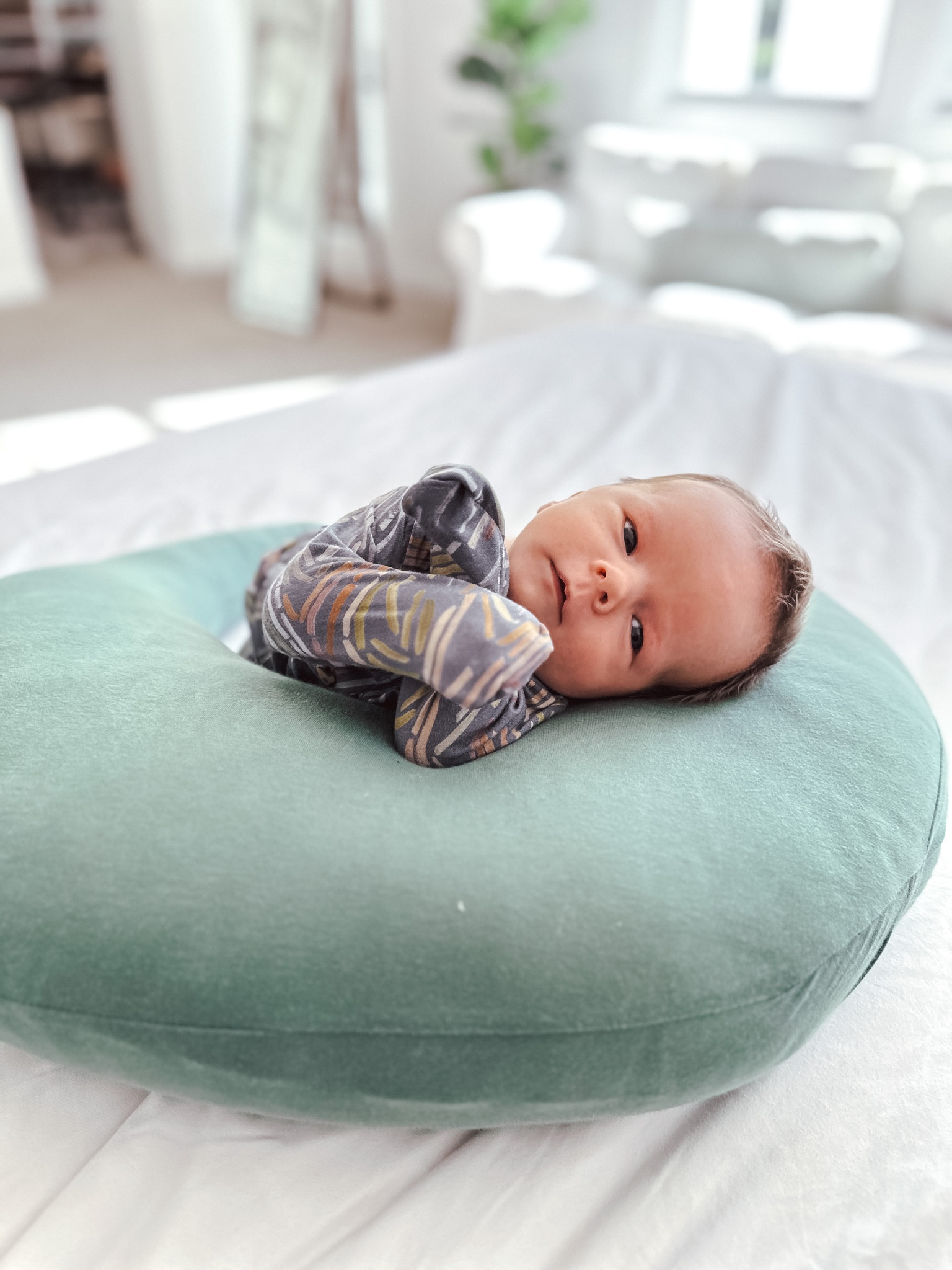Suuuuper soft baby clothes & a nursing pillow I’m not totally sold on 😂 but it’s very cute and good for tummy time!

#LTKbaby