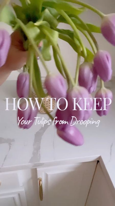 Purple Tulips

#LTKSpringSale #LTKhome #LTKSeasonal