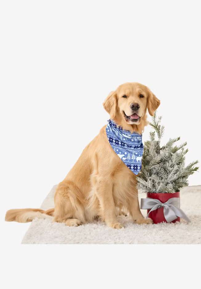 Pet Scarf | Woman Within