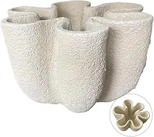 Nico Curvy Decorative Bowl Fluted Vase Scallop Home Decor for Living Room Coffee Table Styling Bo... | Amazon (US)