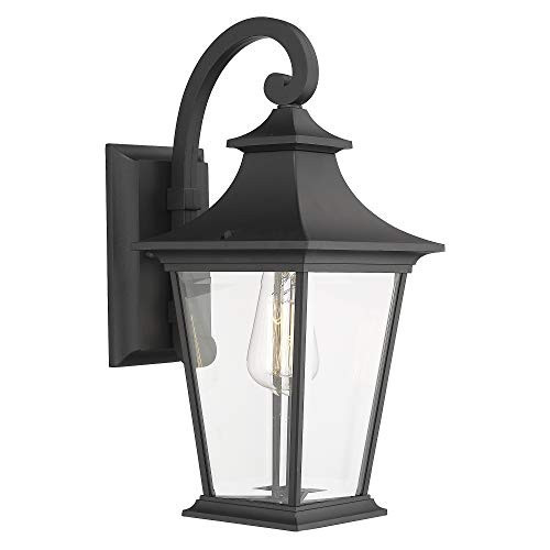 Emliviar Outdoor Wall Lantern, 1-Light Exterior Wall Mount Light with Clear Glass in Black Finish, 18" Height, 500181 | Amazon (US)