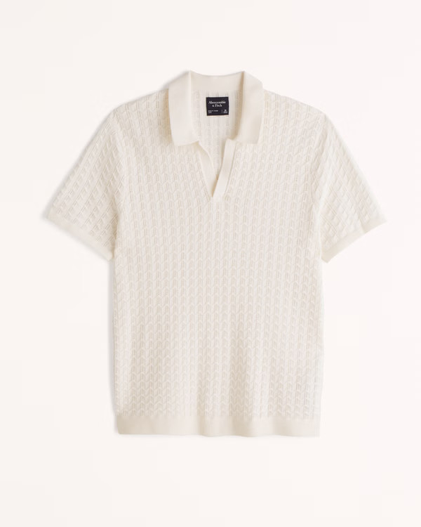 Textured Johnny Collar Sweater Polo | Abercrombie & Fitch (US)