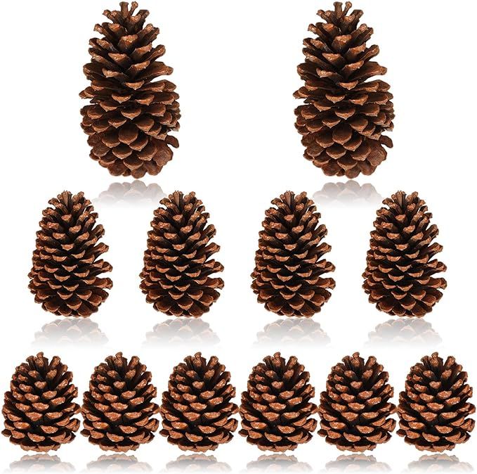 Huwena 12 Pcs Pinecones 3''-4'' 5''-6'' 6''-7'' Tall Unscented Large Pine Cones for Crafts Natura... | Amazon (US)