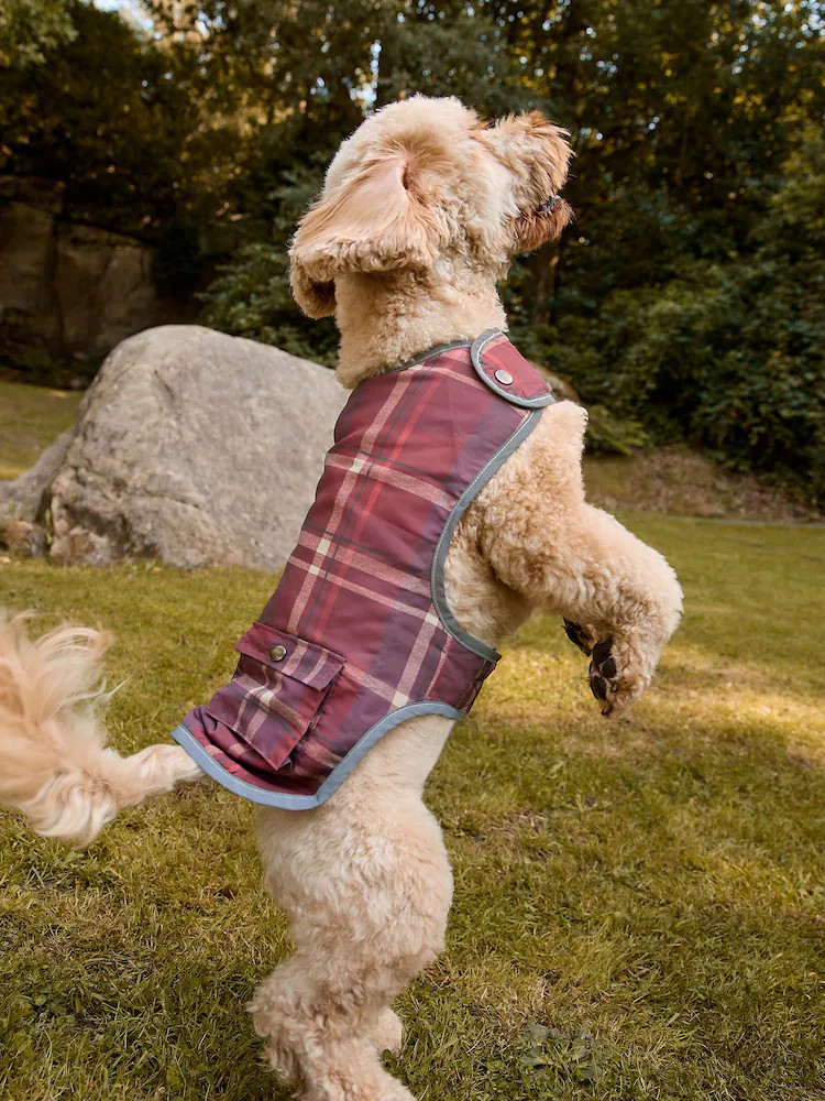 Red Check Shower Resistant Dog Coat | Next EU