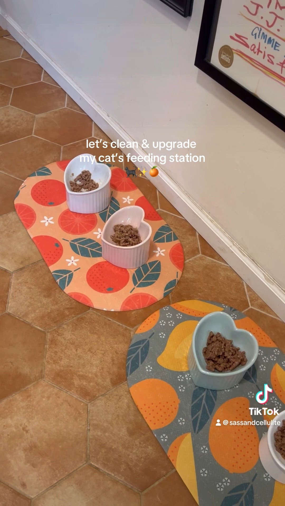 A little refresh for my cat’s feeding station! All from Amazon✨ 

#LTKHome