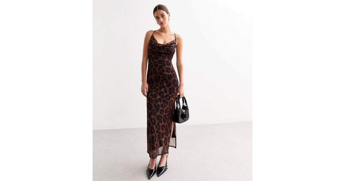 Brown Leopard Print Mesh Midaxi Dress | New Look | New Look (UK)