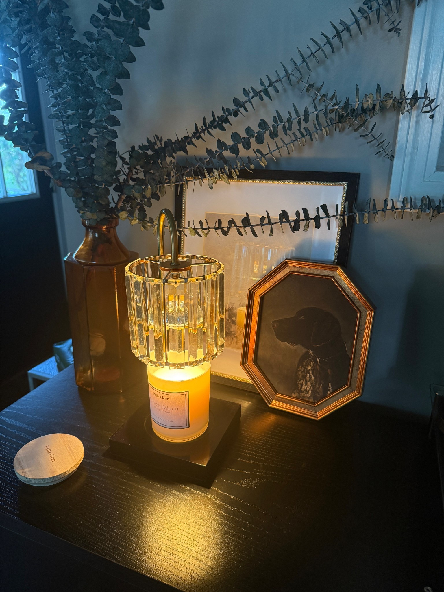 #LTKPets #LTKHome #LTKFamily