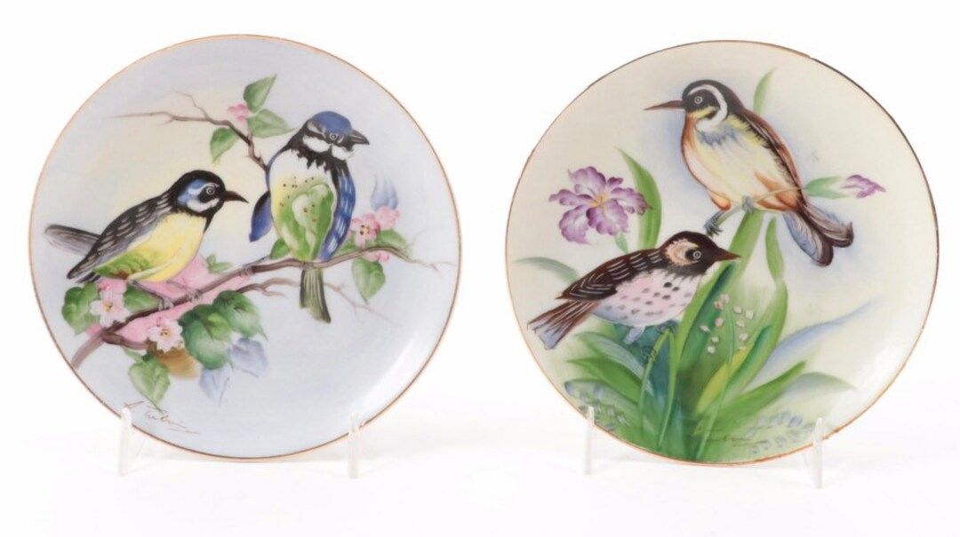 Painted Bird Plates - Etsy | Etsy (US)