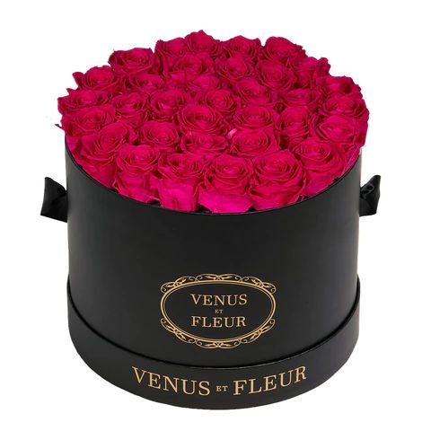 Large Round | Venus ET Fleur