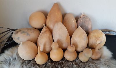 Dried Lot Of 15 Dried & Cleaned Gourds for Crafts! All Shapes and Sizes! | eBay US