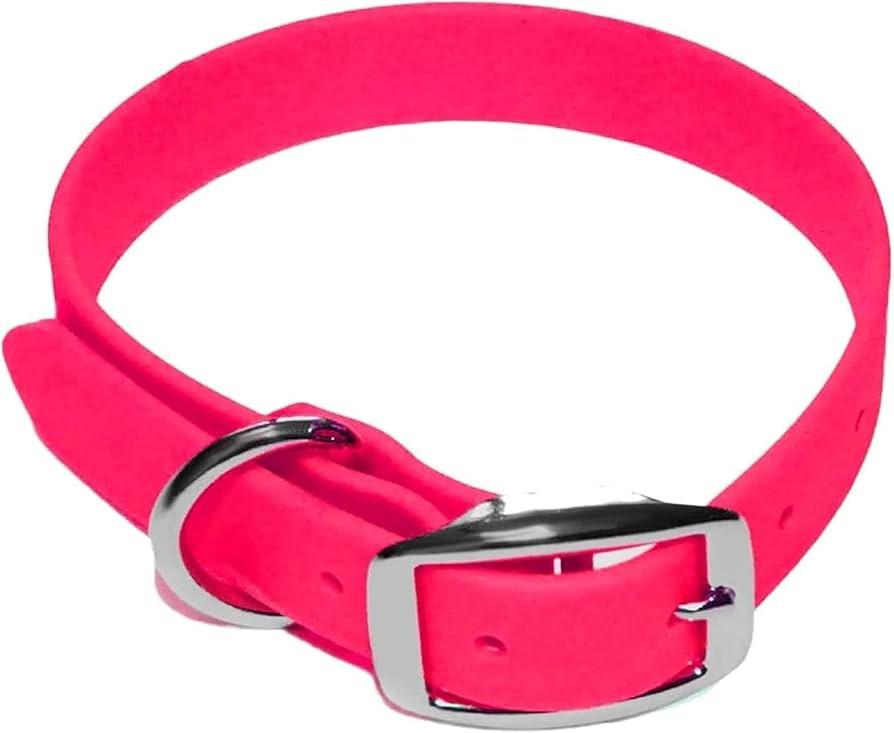 Regal Dog Products Large Pink Waterproof Dog Collar with Heavy Duty Double Buckle & D Ring | Viny... | Amazon (US)