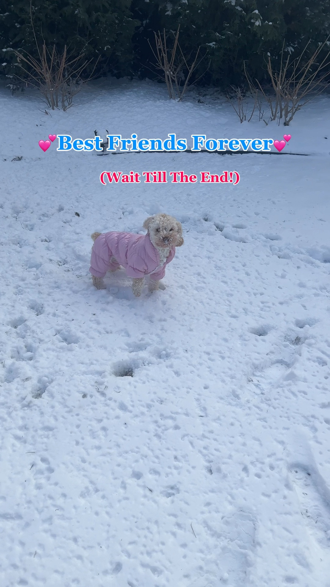 Luna is in my life because of aunt Patti! They truly are best friends 💕

#LTKFamily #LTKWatchNow