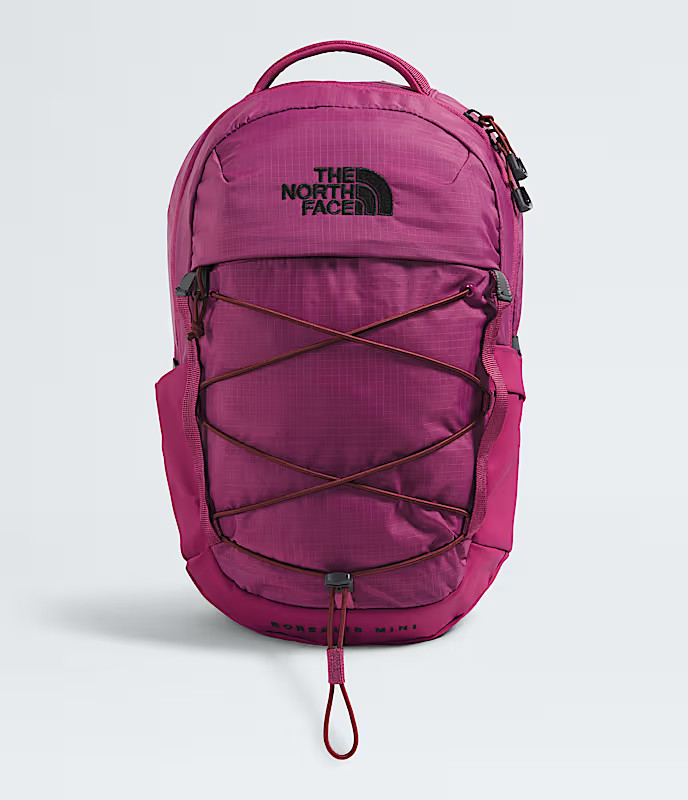 Borealis Mini Backpack | The North Face (US)