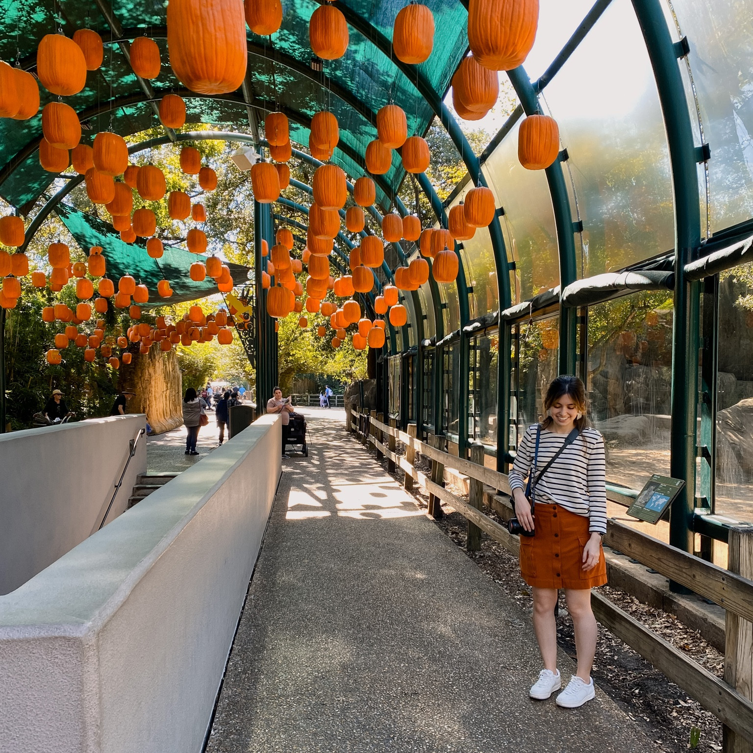 J.Crew tee
Madewell skirt
Madewell sneakers
Senreve skirt
Baublebar earrings